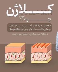 IMG_20251104_120546_005